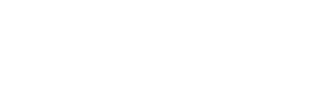 DSW logo