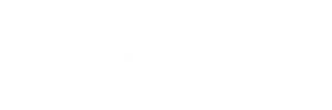 Leyten logo